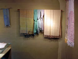 img_ksgreen080314_5.jpg